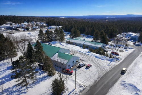 Vue d'ensemble - 117 Rue Du Parc, Saint-Georges, QC - Outdoor With View
