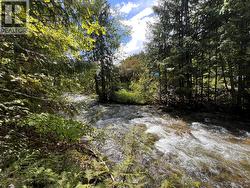 611 Slocan Street  Slocan, BC V0G 2C0