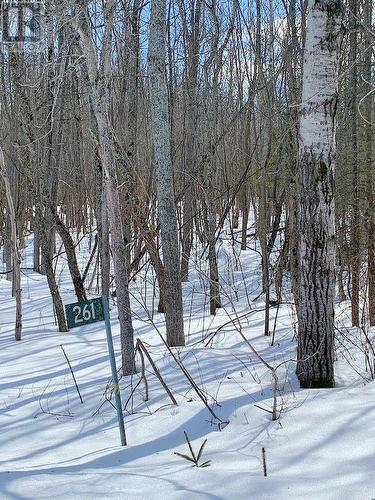 261 4 Th Line, Gore Bay, ON 