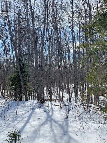 261 4 Th Line, Gore Bay, ON 