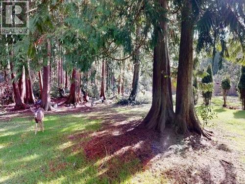 5170 Manson Ave, Powell River, BC - Outdoor With View