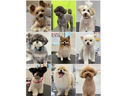 103 14390 64 AVENUE  Surrey, BC V3W 1Z1