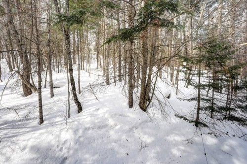 Extérieur - 339 Rue De La Légende, Sainte-Adèle, QC - Outdoor With View