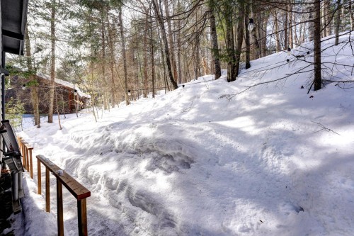 Face arrière - 339 Rue De La Légende, Sainte-Adèle, QC - Outdoor