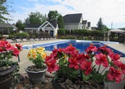 Piscine - 