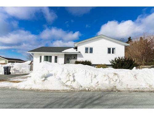 8 Denford Estates  Conception Bay South, NL A1W 4G9
