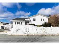 8 Denford Estates  Conception Bay South, NL A1W 4G9
