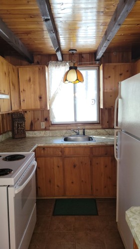 Cuisine - 330 Rue De L'Edelweiss, Sainte-Agathe-Des-Monts, QC - Indoor Photo Showing Kitchen