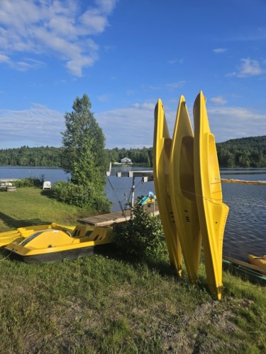 Accès au plan d'eau - 330 Rue De L'Edelweiss, Sainte-Agathe-Des-Monts, QC - Outdoor With Body Of Water With View