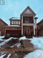 12 WHITEPOPPY DRIVE N  Brampton, ON L7A 0L8