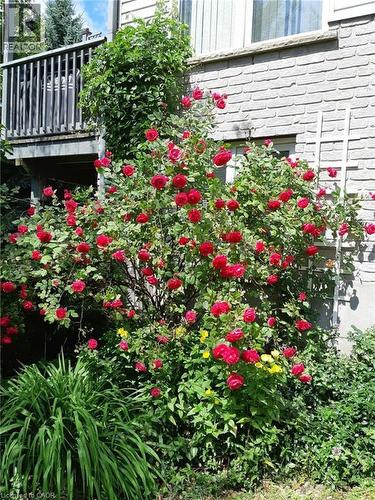 663 Heathcliffe Place, Waterloo, ON - Outdoor