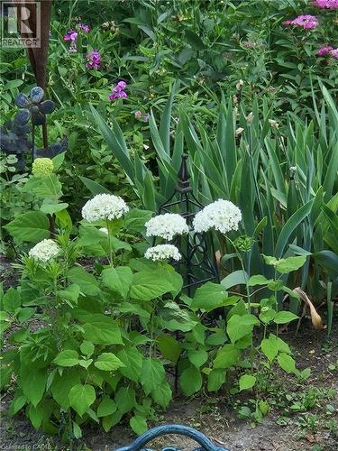 663 Heathcliffe Place, Waterloo, ON - Outdoor