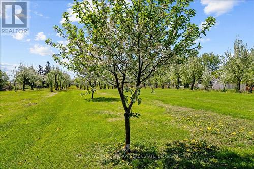 2263 Hwy 2, Clarington, ON 