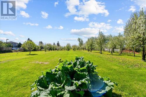 2263 Hwy 2, Clarington, ON 