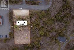 3 Church Terrace  Conception Bay South, NL A1W 5M7