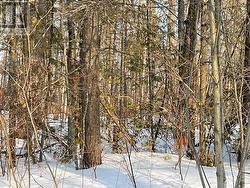 0 SUGARBUSH CRESCENT  Trent Lakes, ON K0L 1J0