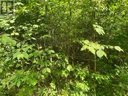 0 SUGARBUSH CRESCENT  Trent Lakes, ON K0L 1J0
