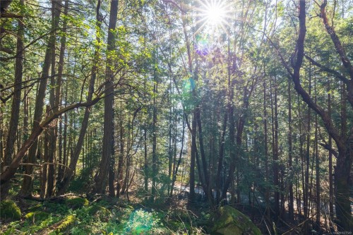 Lot 1 Old Scott Rd, Salt Spring, BC 
