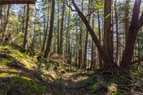 Lot 2 Old Scott Rd, Salt Spring, BC 