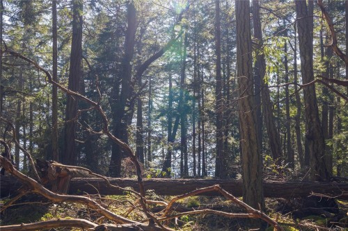 Lot 2 Old Scott Rd, Salt Spring, BC 