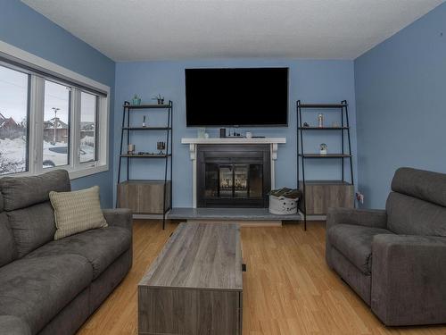 319 Vickers Street S, Thunder Bay, ON - Indoor Photo Showing Living Room With Fireplace