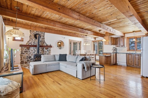Vue d'ensemble - 785 Rg Du Bas-Corbin, Saint-Damase, QC - Indoor Photo Showing Living Room With Fireplace