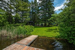 Bord de l'eau - 