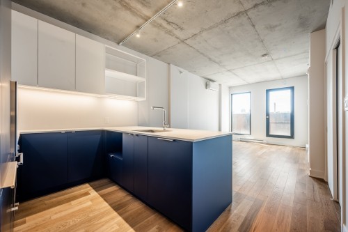 Vue d'ensemble - 431-2180 Rue Ste-Catherine E., Montréal (Ville-Marie), QC - Indoor Photo Showing Kitchen