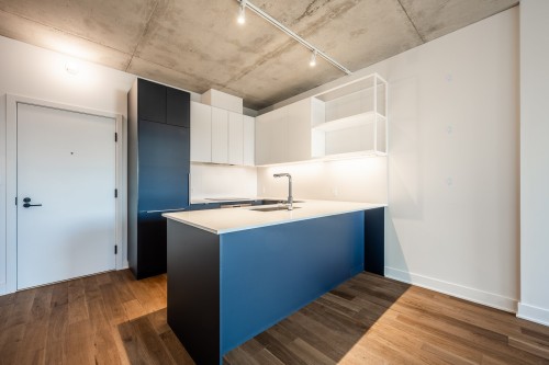 Cuisine - 431-2180 Rue Ste-Catherine E., Montréal (Ville-Marie), QC - Indoor Photo Showing Kitchen