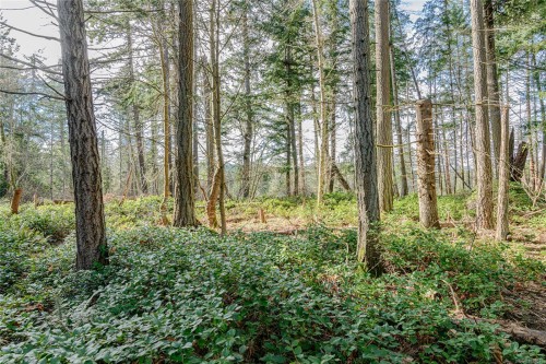 126 Maliview Dr, Salt Spring, BC 