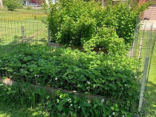 55 Lighthouse Road, Digby, NS 