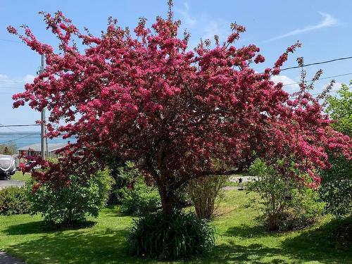 55 Lighthouse Road, Digby, NS 