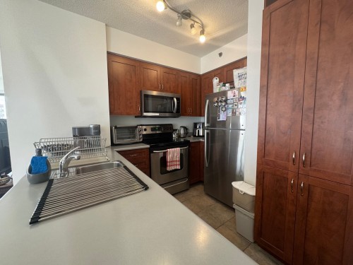 Kitchenette - 402-551 Rue De La Montagne, Montréal (Ville-Marie), QC - Indoor Photo Showing Kitchen With Double Sink