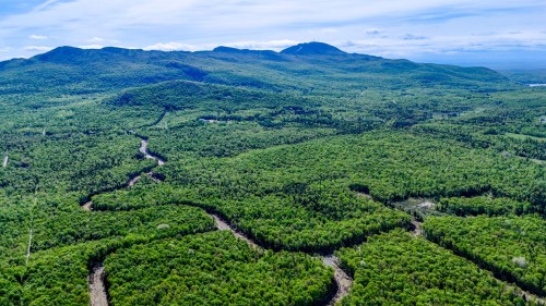 Overall view - 46-419 Ch. George-Bonnallie, Eastman, QC 