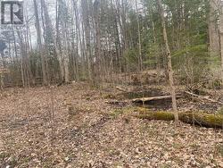 00 COUNTY RD 44 ROAD  Edwardsburgh/Cardinal, ON K0E 1X0