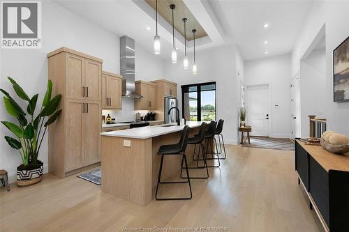 572 Lily Mac Boulevard, Windsor, ON - Indoor Photo Showing Kitchen With Upgraded Kitchen