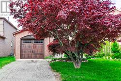 172 RADFORD DRIVE  Ajax, ON L1T 2C2