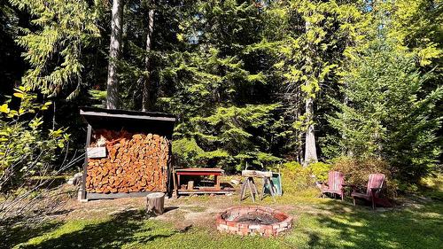 785 Beech Road, Nakusp, BC - Outdoor