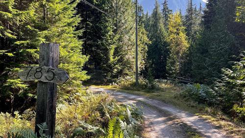 785 Beech Road, Nakusp, BC - Outdoor With View