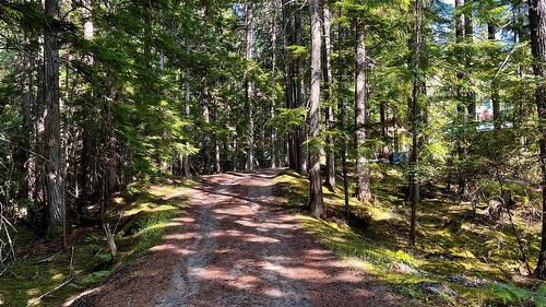 785 Beech Road, Nakusp, BC - Outdoor With View