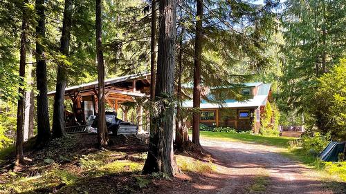 785 Beech Road, Nakusp, BC - Outdoor