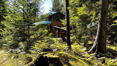 785 Beech Road, Nakusp, BC - Outdoor