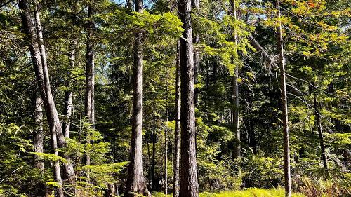 785 Beech Road, Nakusp, BC - Outdoor