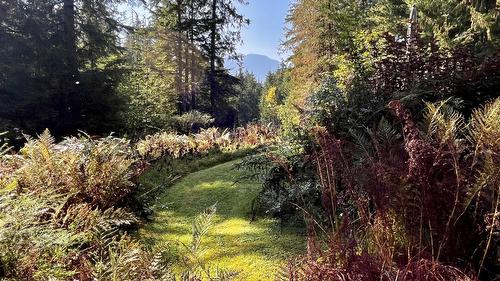 785 Beech Road, Nakusp, BC - Outdoor With View