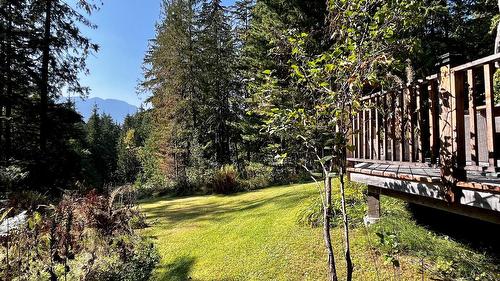 785 Beech Road, Nakusp, BC - Outdoor