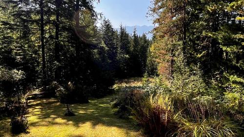 785 Beech Road, Nakusp, BC - Outdoor With View