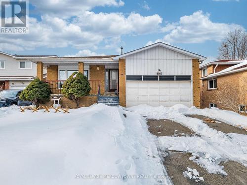 66 PLUTO DRIVE  Brampton, ON L6V 3W5