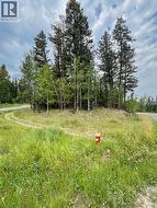 Lot 33 KALLUM DRIVE  108 Mile Ranch, BC V0K 2Z0