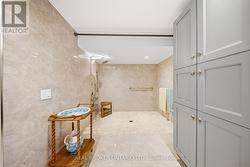 Shower (Lower Level) - 