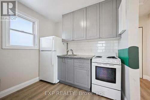 253 Sydney Street S, Kitchener, ON - Indoor Photo Showing Kitchen